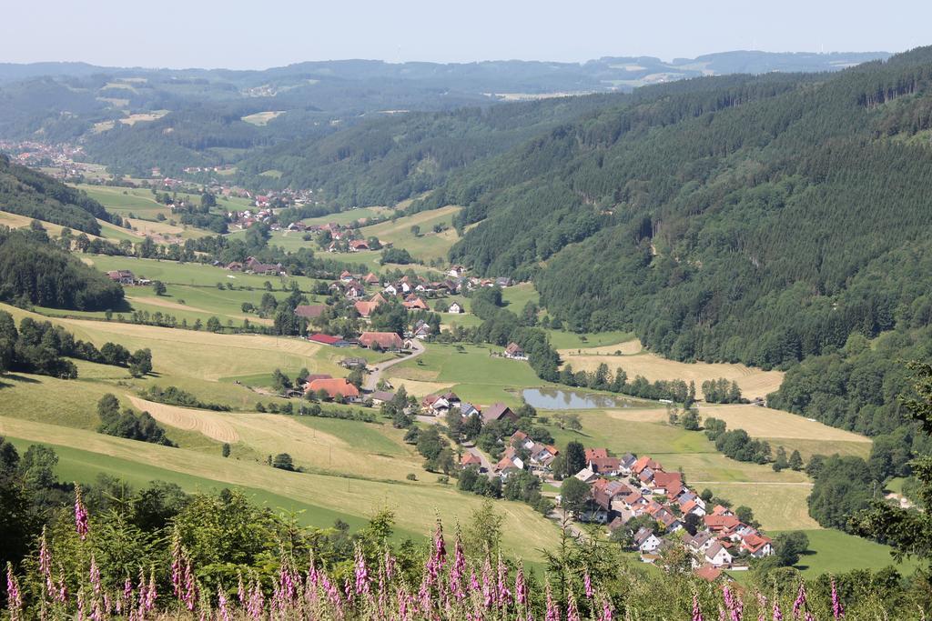 Hotel Haus Traudel Matt Elzach Zewnętrze zdjęcie
