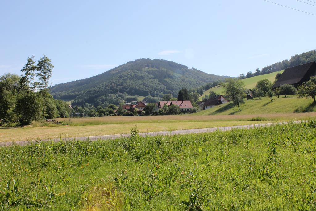 Hotel Haus Traudel Matt Elzach Zewnętrze zdjęcie