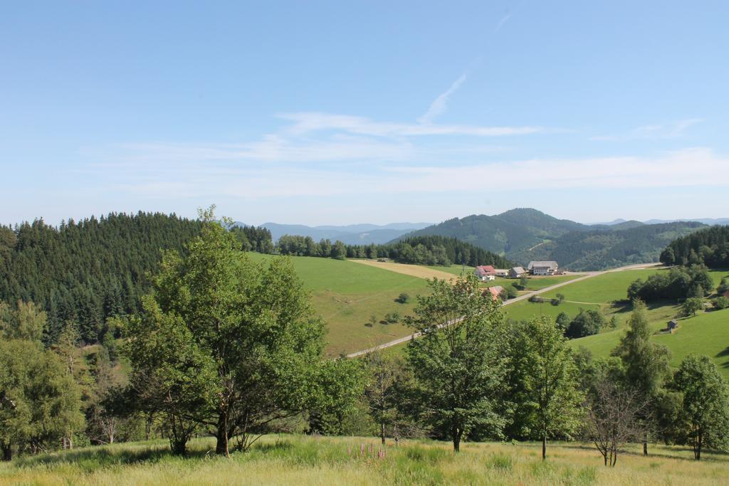 Hotel Haus Traudel Matt Elzach Zewnętrze zdjęcie